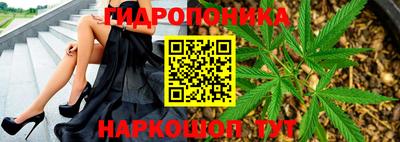 мяу мяу мука Протвино
