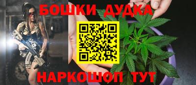 стафф Прокопьевск