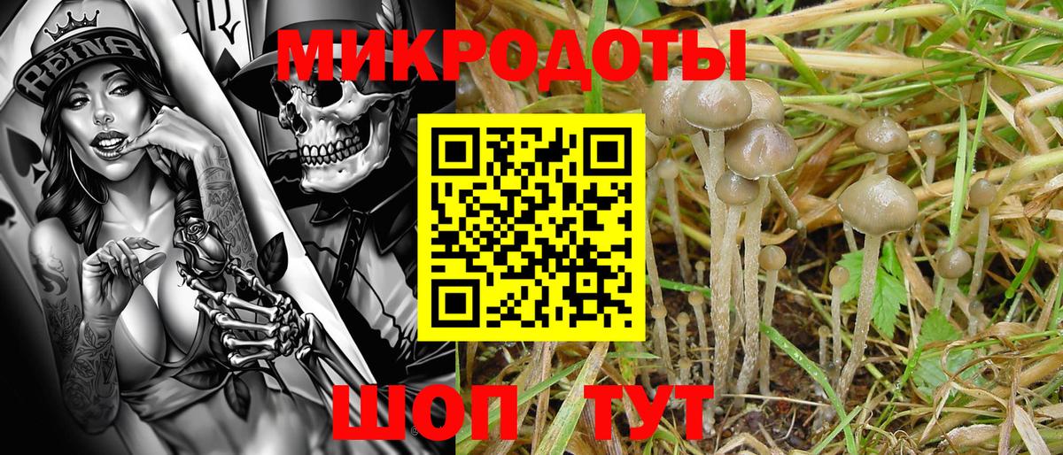 Галлюциногенные грибы Psilocybe  Вход с VPN  Алейск 