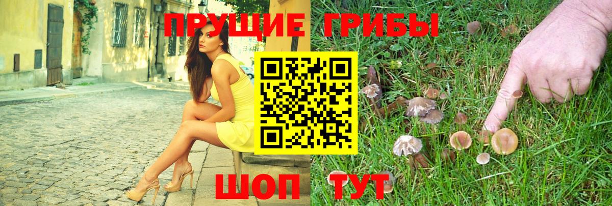 Галлюциногенные грибы Magic Shrooms Алейск